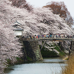 霞城公園