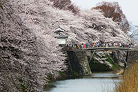 霞城公園