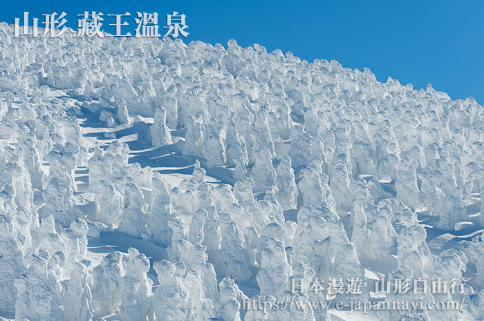 藏王樹冰的冰雪世界