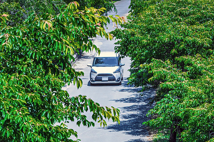 熊本機場自駕車