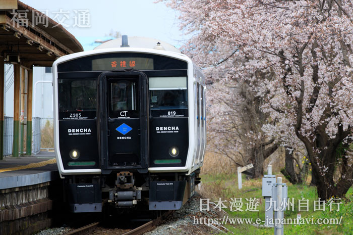 櫻花時節的JR香椎線列車