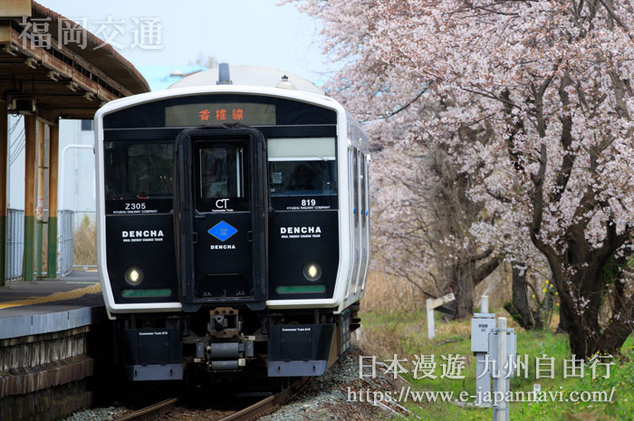 JR香椎線櫻花季節美景