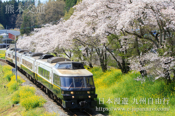 櫻花時節的JR阿蘇BOY線列車